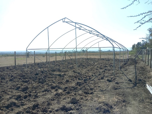 16mm Drip Fittings | Drip Irrigation Kenya | Kreatives.co.ke