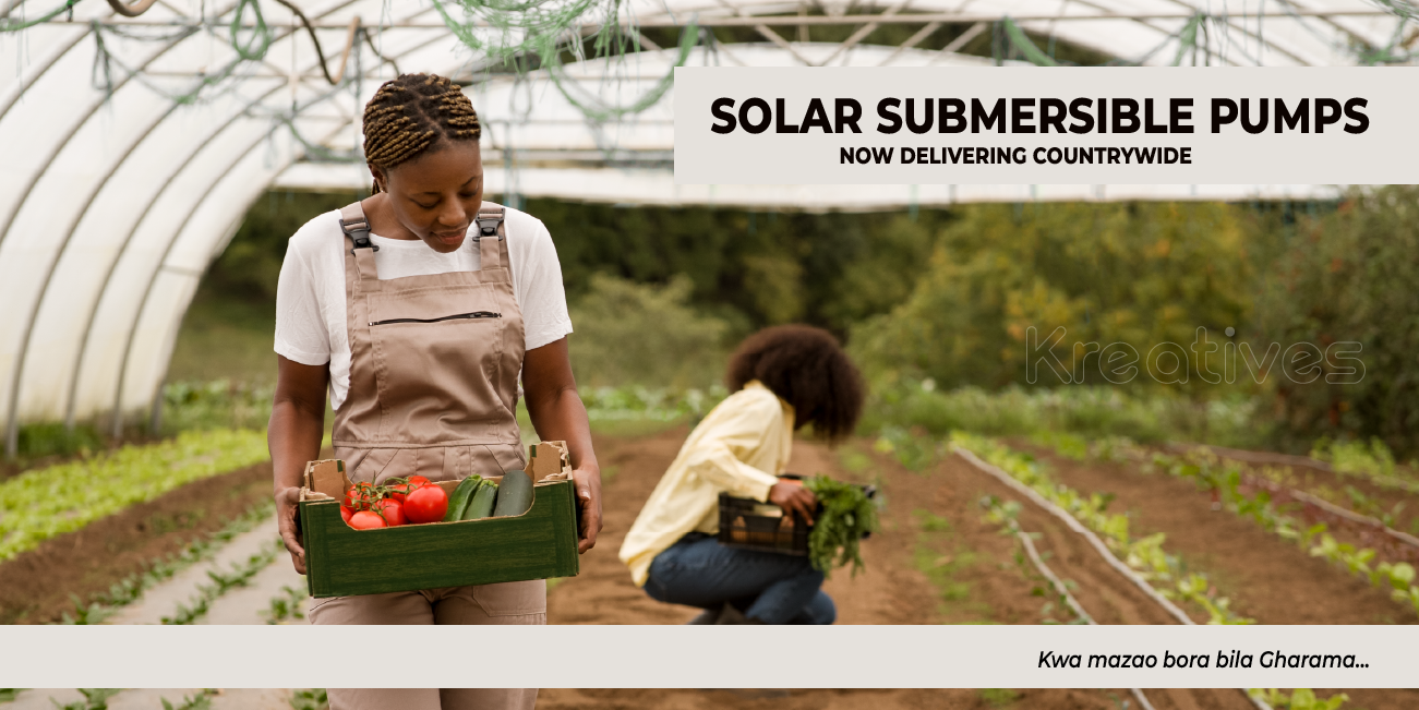 Discover Affordable Submersible Solar Water Pump Prices in Kenya: Boosting Efficiency while Saving Costs