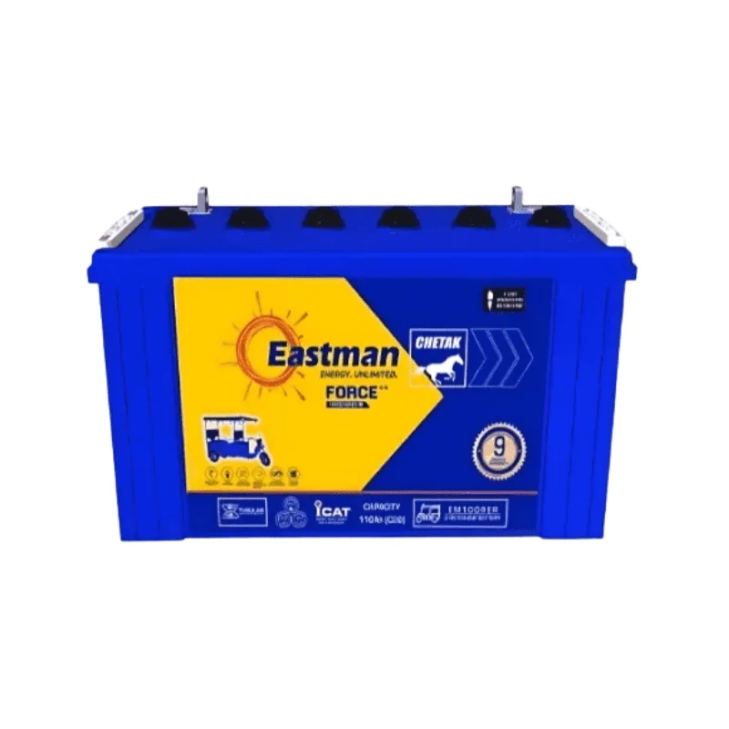 EASTMAN 10 Amp Battery Charger – Smart, Safe, & Reliable Power for Your Tubular Batteries