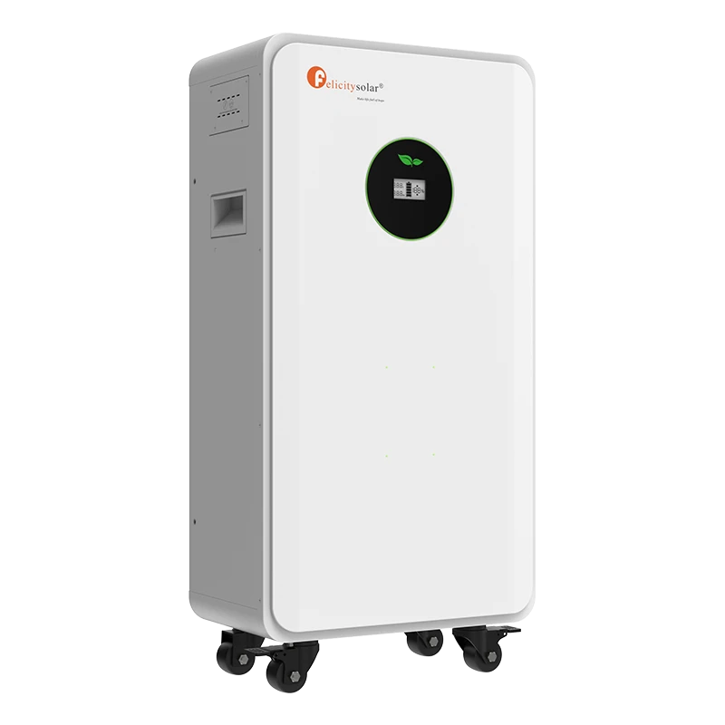 Felicity 15kWh 48V 300Ah Lithium Battery with WiFi BMS -  FLA48300TG2