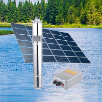 Premier Solar Pump 80M 300W Submersible Pump + Solar Panel + Controller – Reliable Solar Water Pumping Solution
