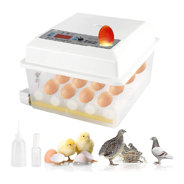 16Eggs Automatic Egg Incubator AC/DC